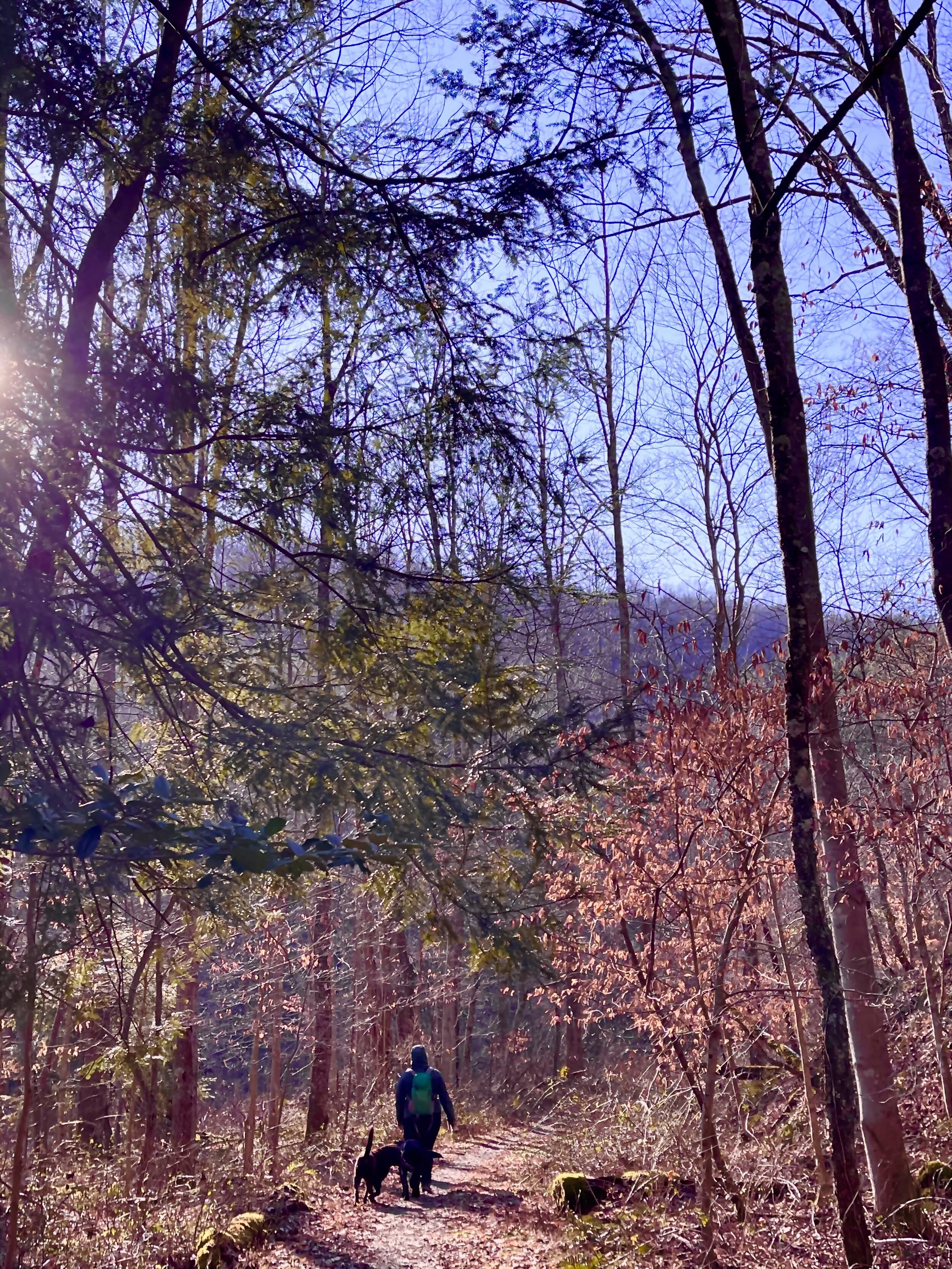 Kaymoor Trail in New River Gorge National Park and Preserve (Katherine Allen)