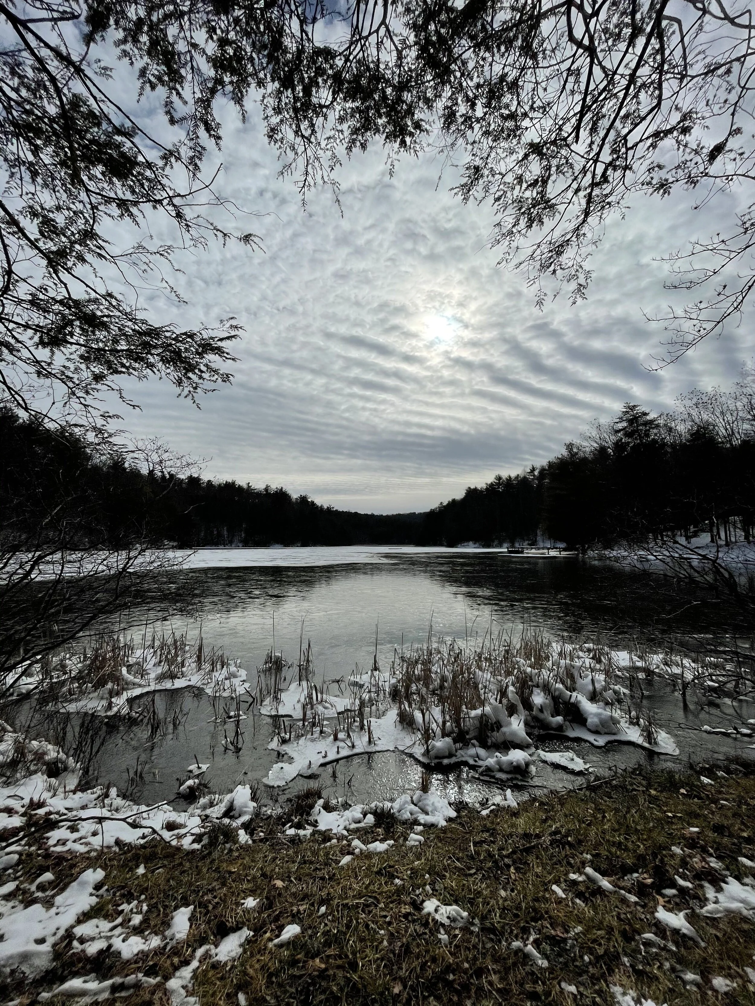 Beautiful view of Pipestem State Park.  (Courtesy Katherine Allen)