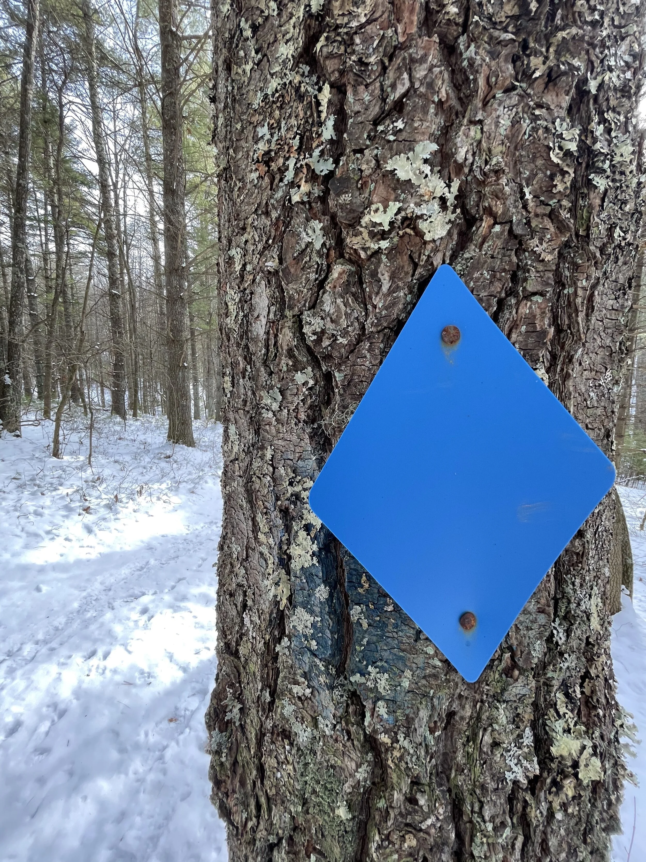 Thankfully no breadcrumbs needed as the trails are well marked.