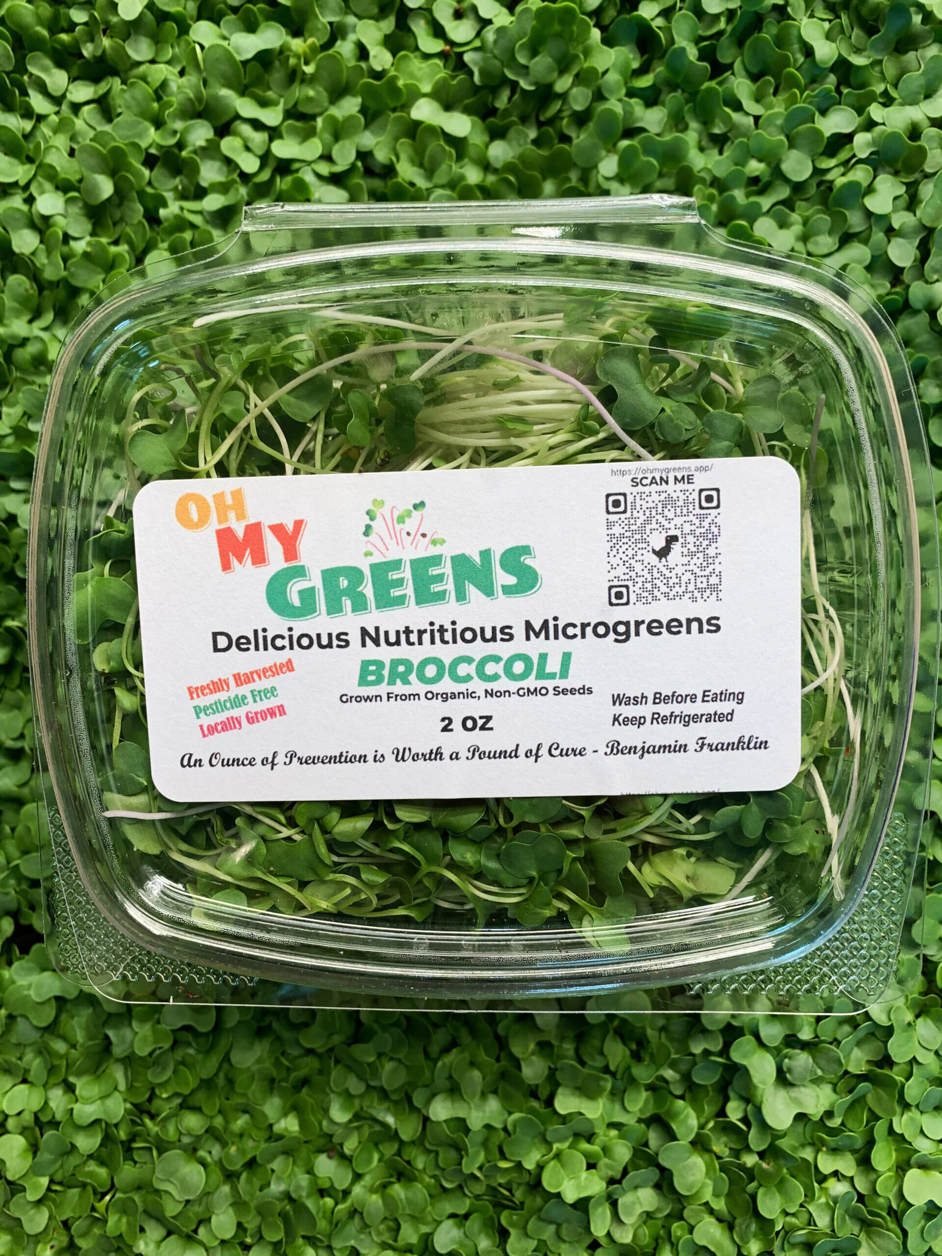‘Oh My Greens’: local microgreens delivered to your door