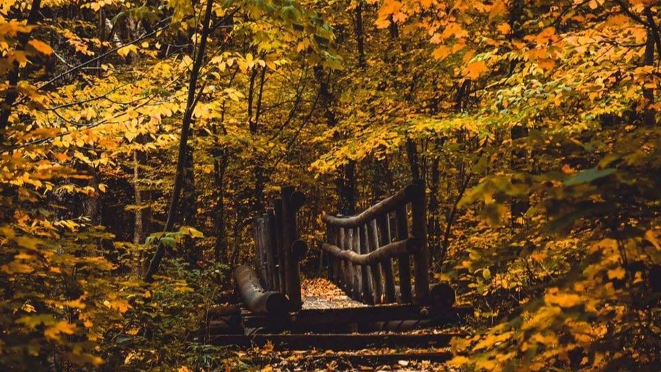 Uh, oh! People are discovering our diamond in the rough