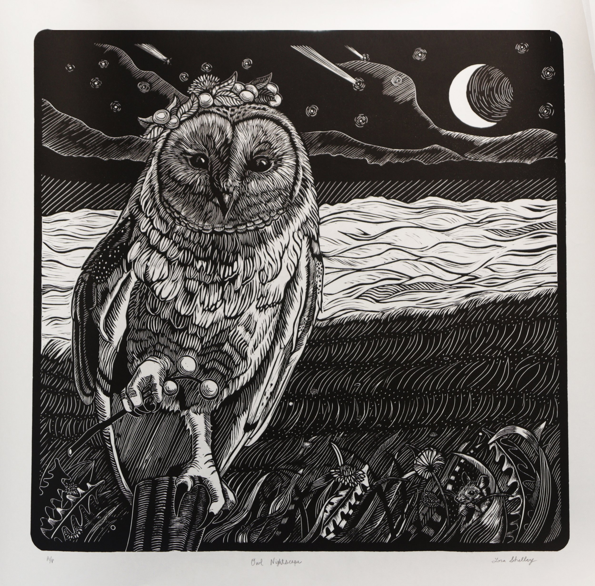 15.Lora Shelley - Owl Nightscape.JPG