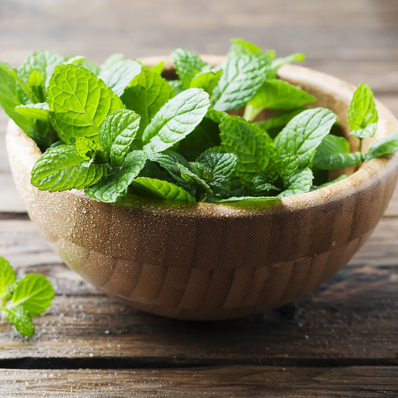 Mint_Leaves.webp