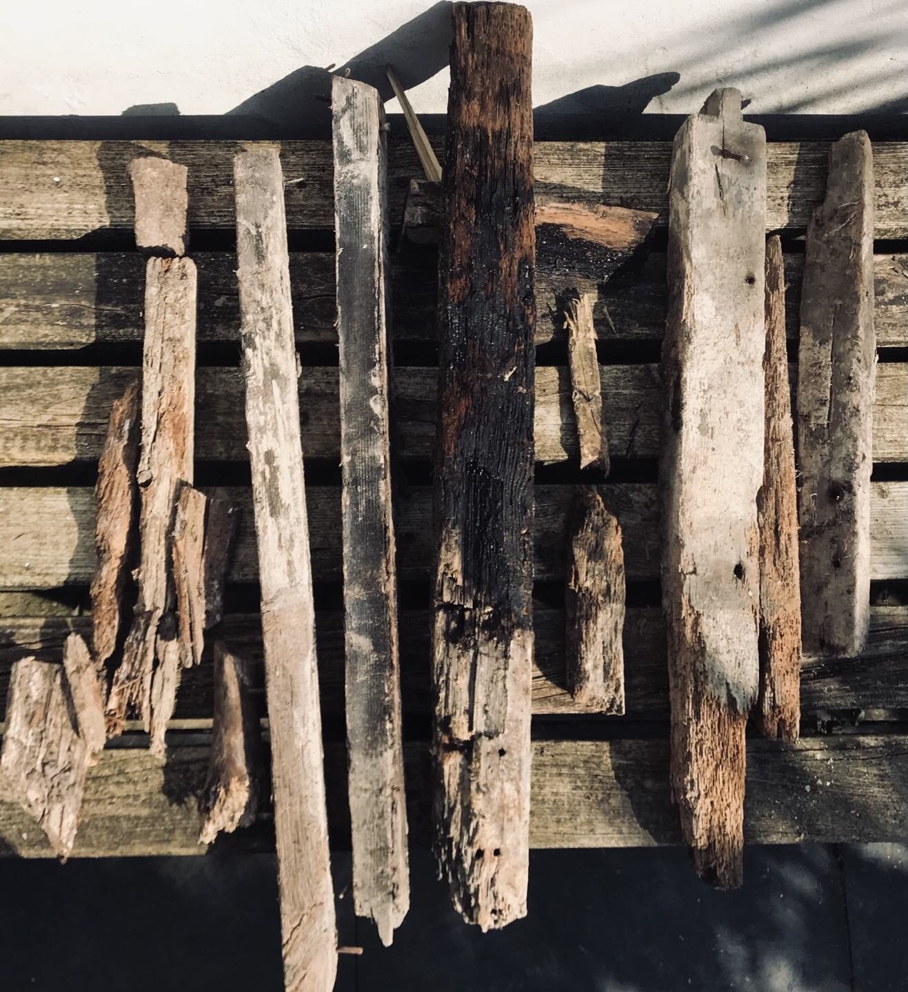 Timber removed from our roof, showing signs of woodworm, rot and charring.