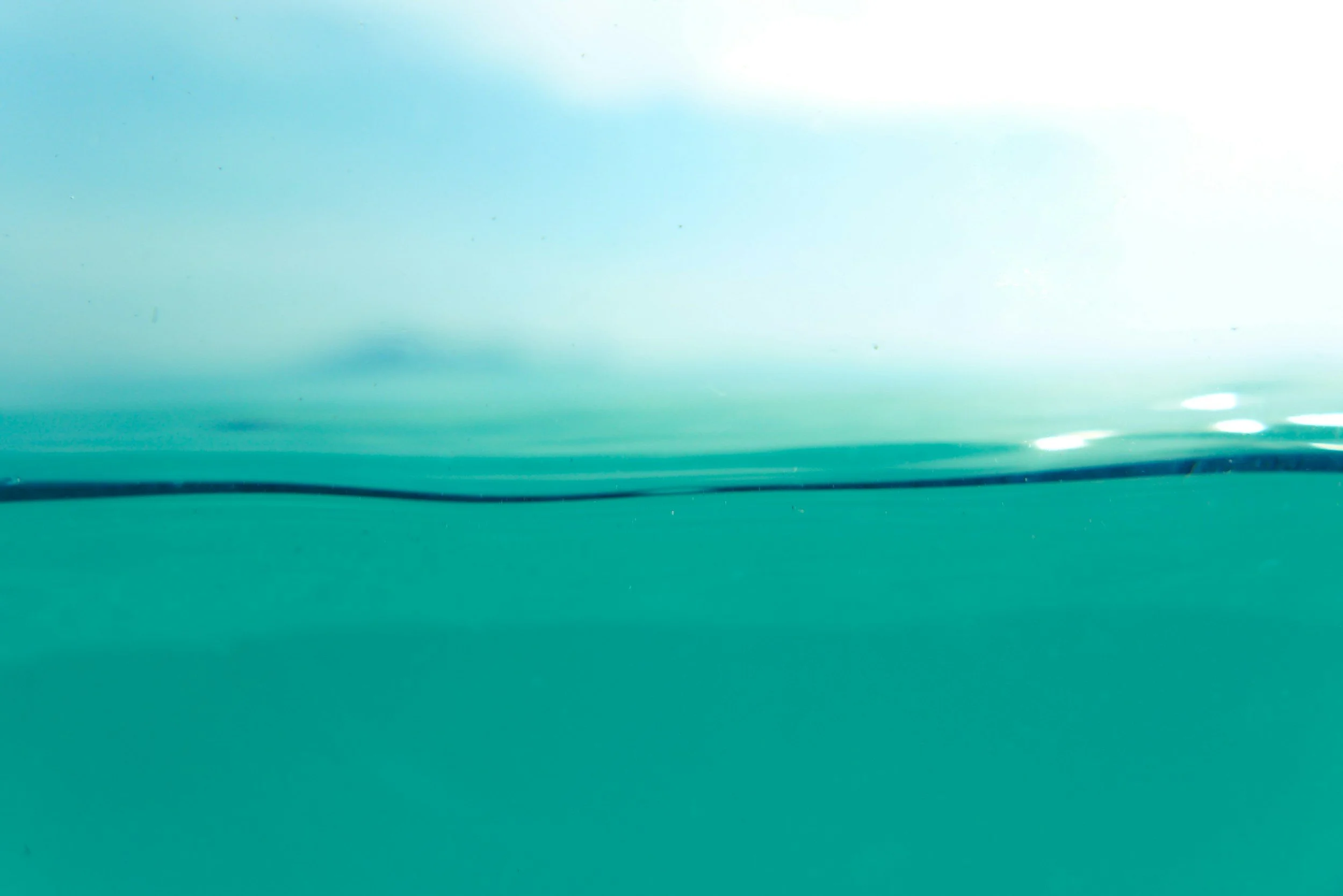 Water
March 2024