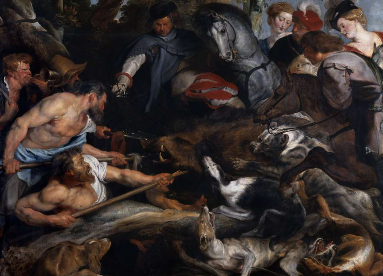 Hunting For Boars