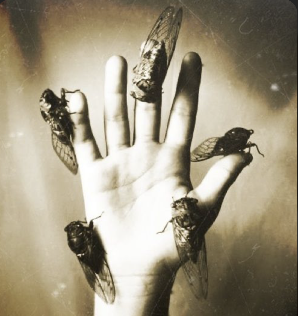 The Swarm