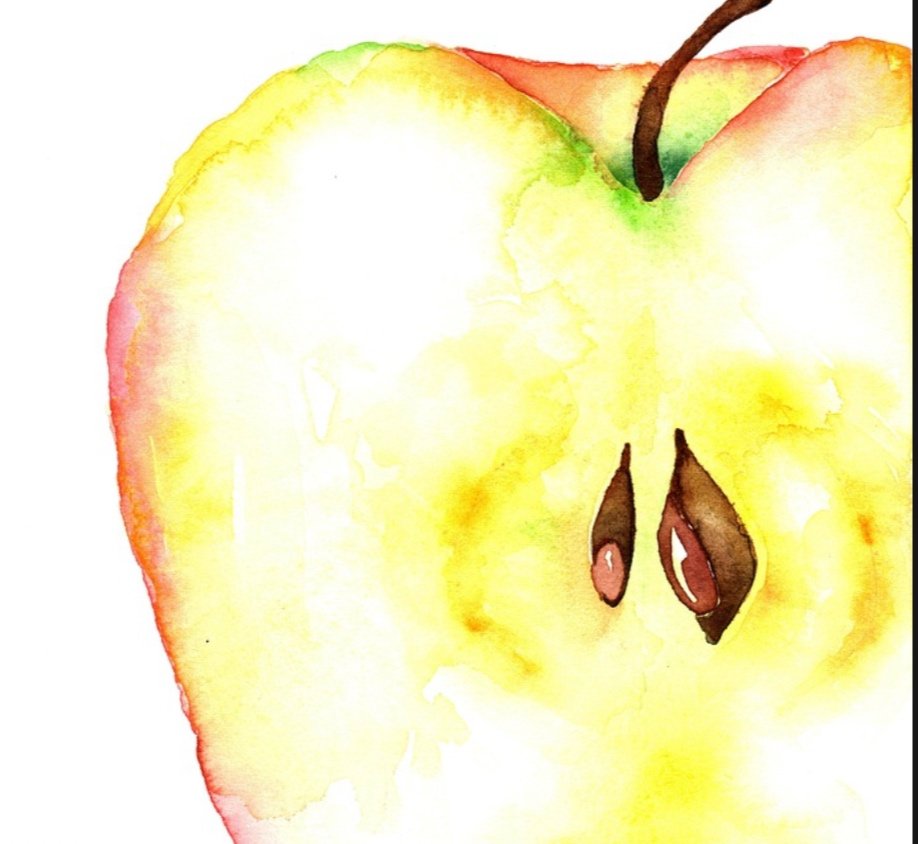 Apple Tree