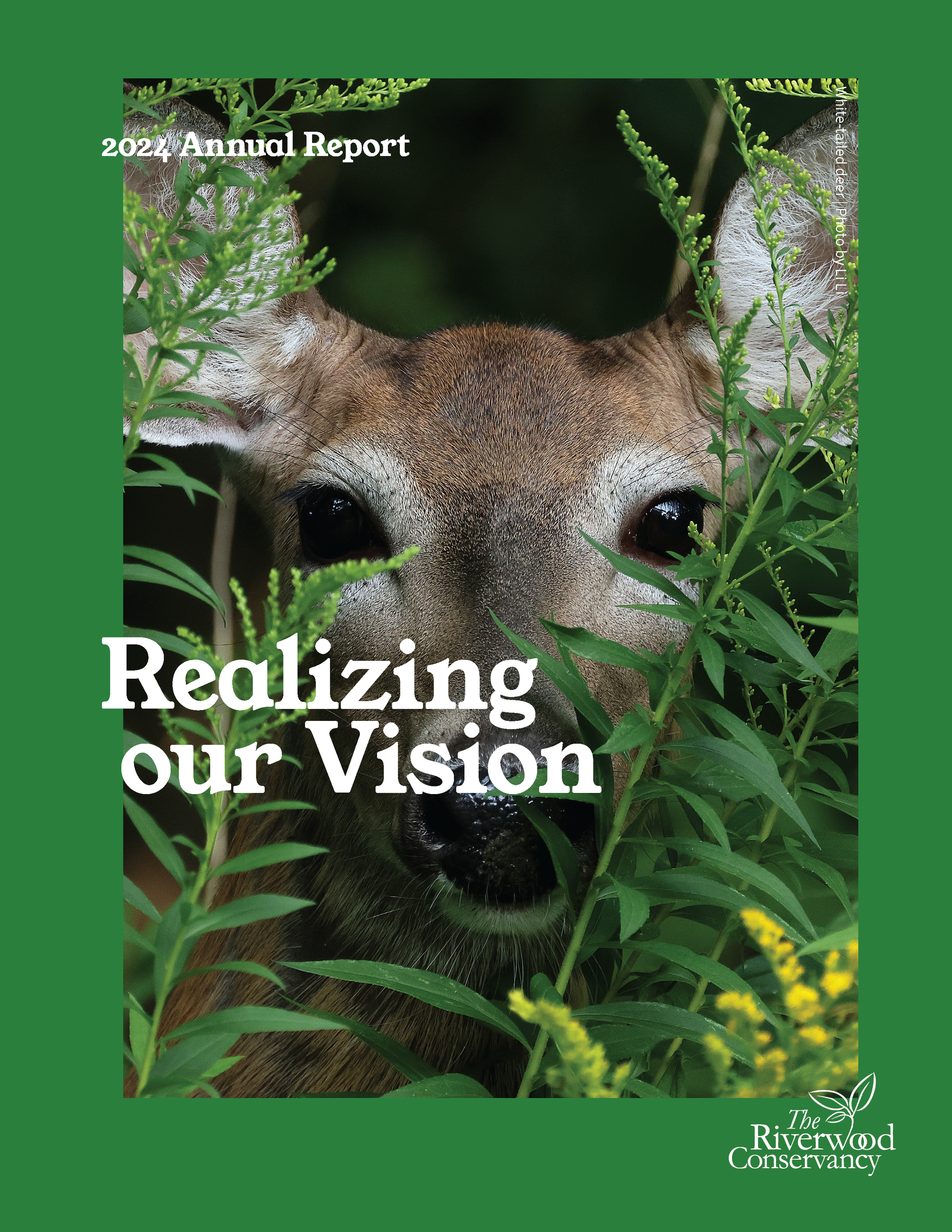 The Riverwood Conservancy 2024 Annual Report