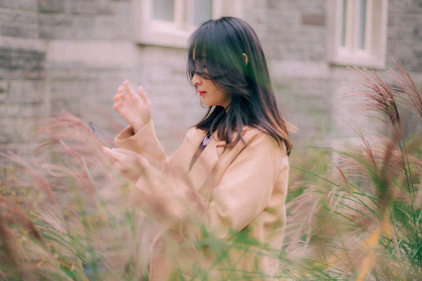 단풍국의 계절💛🤎🧡