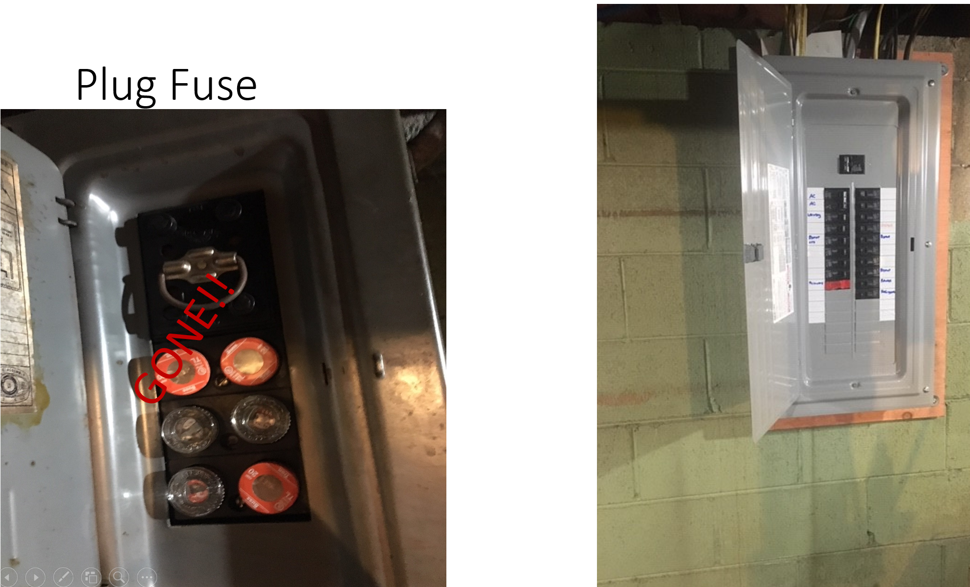 Part of the dangerous panel mob