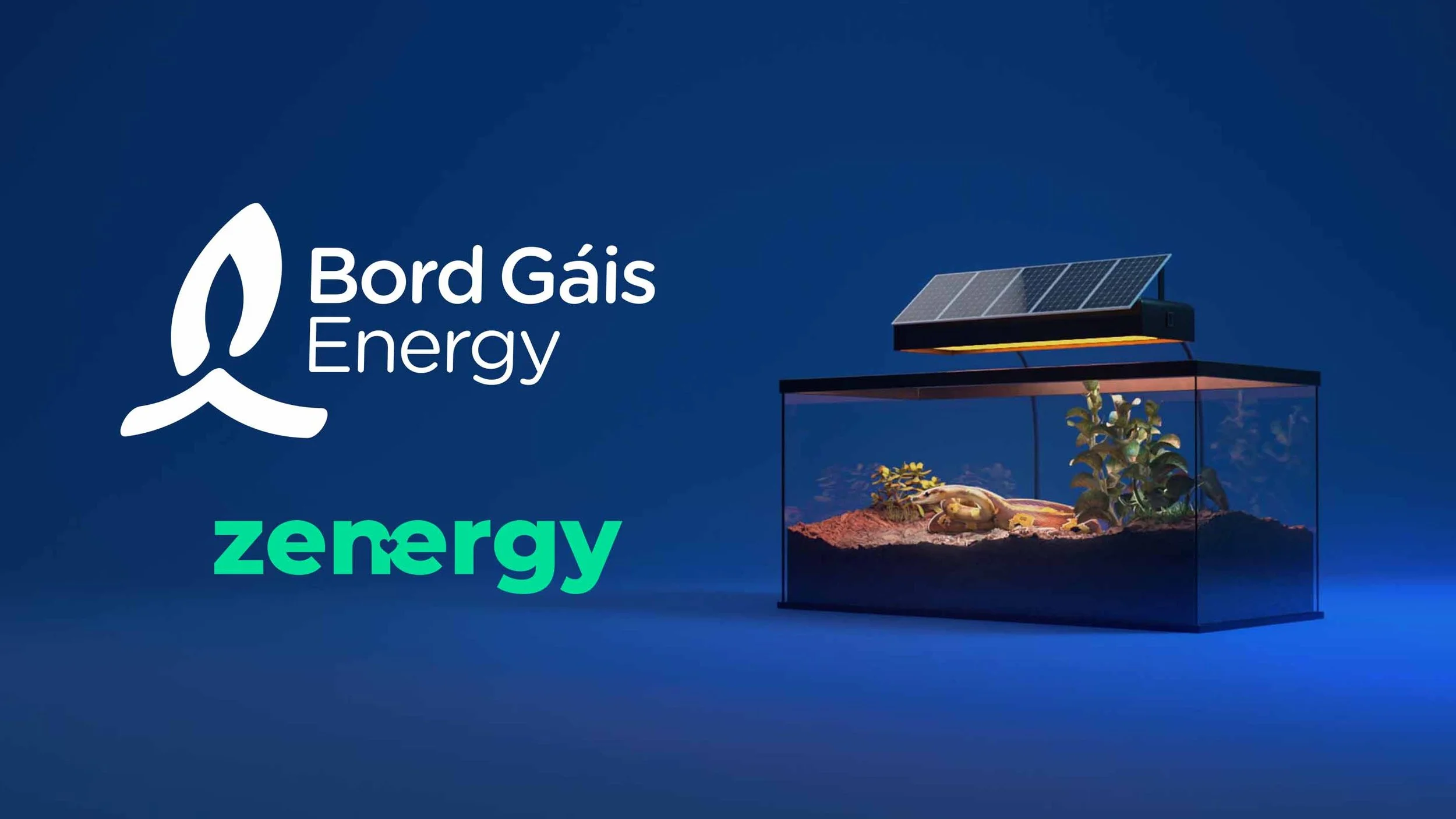 Bord Gáis - Zennergy