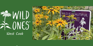 2024 Fall Tree and Shrub Sale