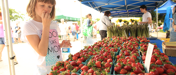 Oak Park Farmer's Market (Copy)