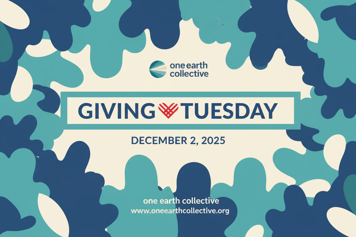 Giving Tuesday