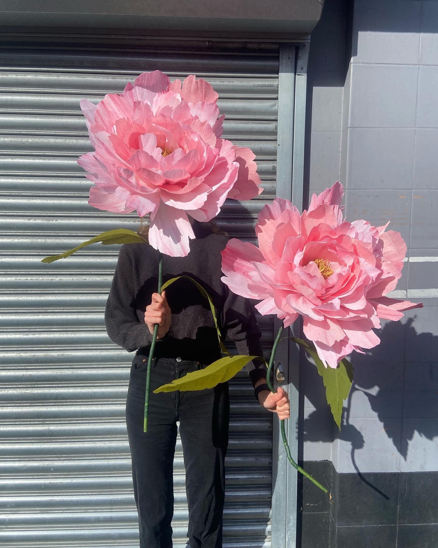 Supersize peonies and roses for @katieloxton !