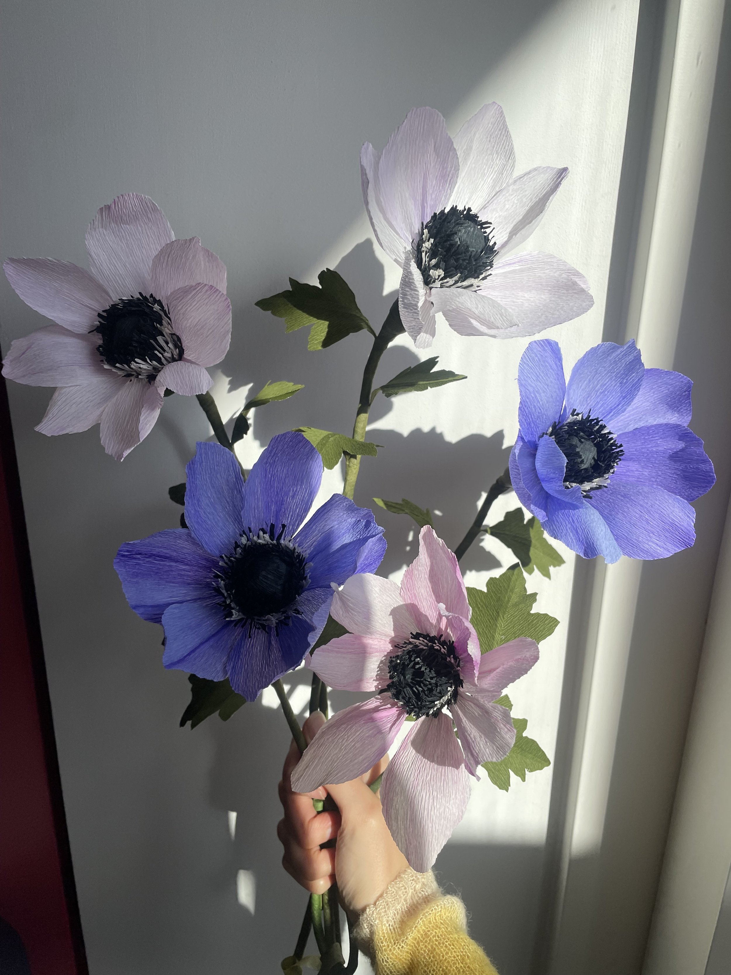 IMG_4470.jpeg