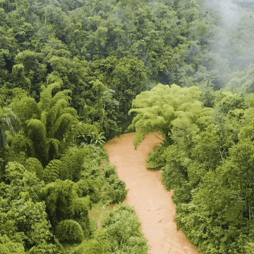 ourHOME_lowerthird_05_Box_Right_2_lines_23_98_1x1.gif