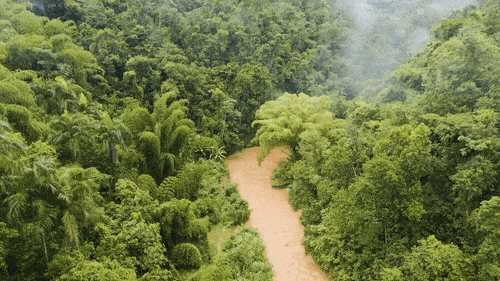ourHOME_lowerthird_05_Box_Left_2_lines_23_98_17.gif
