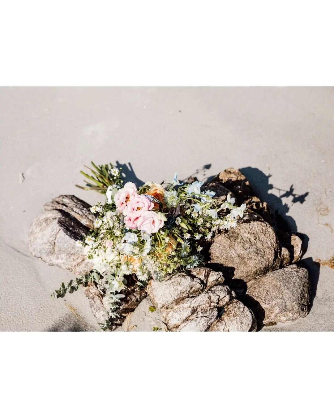 Beautiful bouquets from last year's weddings 🌸

@vividfloraldesign
@camomilecornflowers
@littlestemsinspiredbymargaret
@elizabeth_mulberry_flowers
@willowandwreathflorist
.
.
.
.
.
.
.
#weddingbouquet #bridalbouquet #weddingflowers #bridalflowers #b