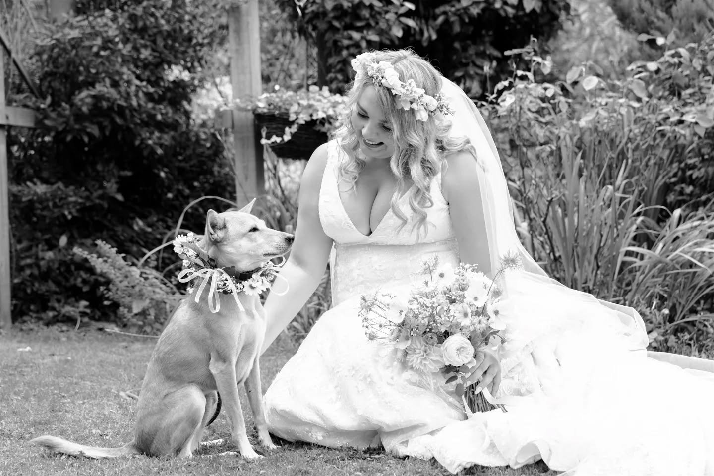 Beautiful Kat &amp; Sook 💛
. 
.
.
.
.
.
.
#dogsatweddings #dogatwedding #doglover #dogsofinstagram #dogphotography #dog #dogringbearer #instadog #ukweddingphotographers #ukweddingphotography #documentaryweddingphotographer #candidweddingphotography 