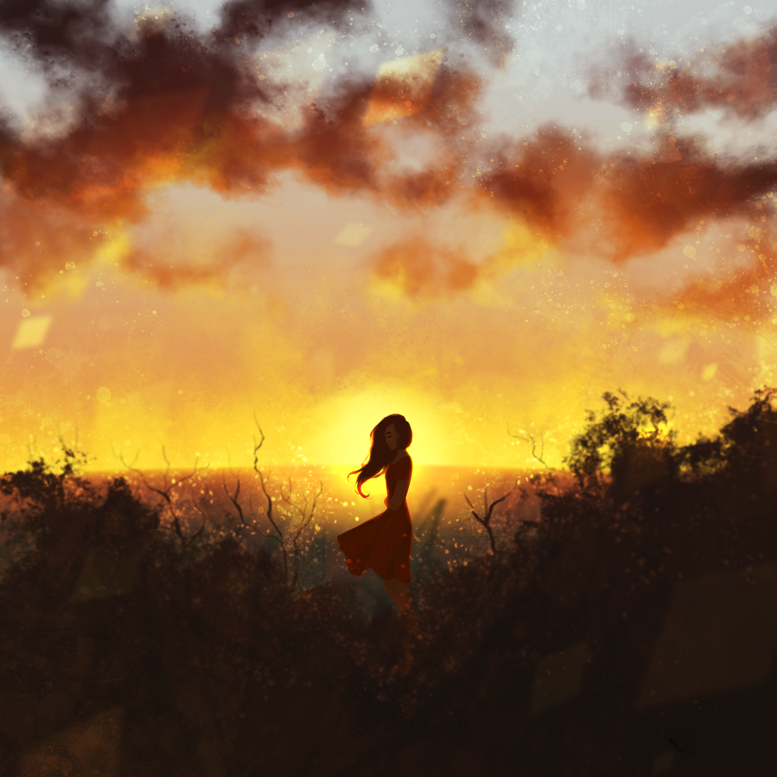 nothingspecial_finalv02.png