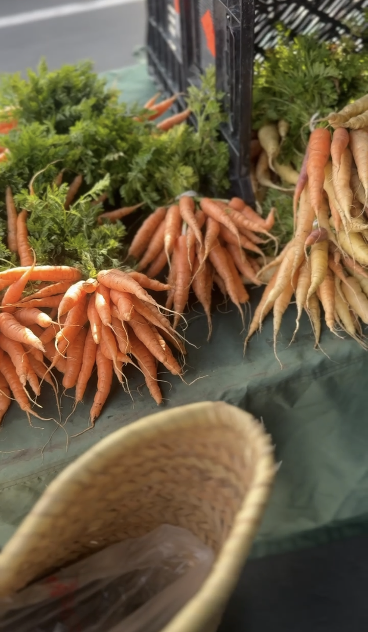 View recent photos 2.png