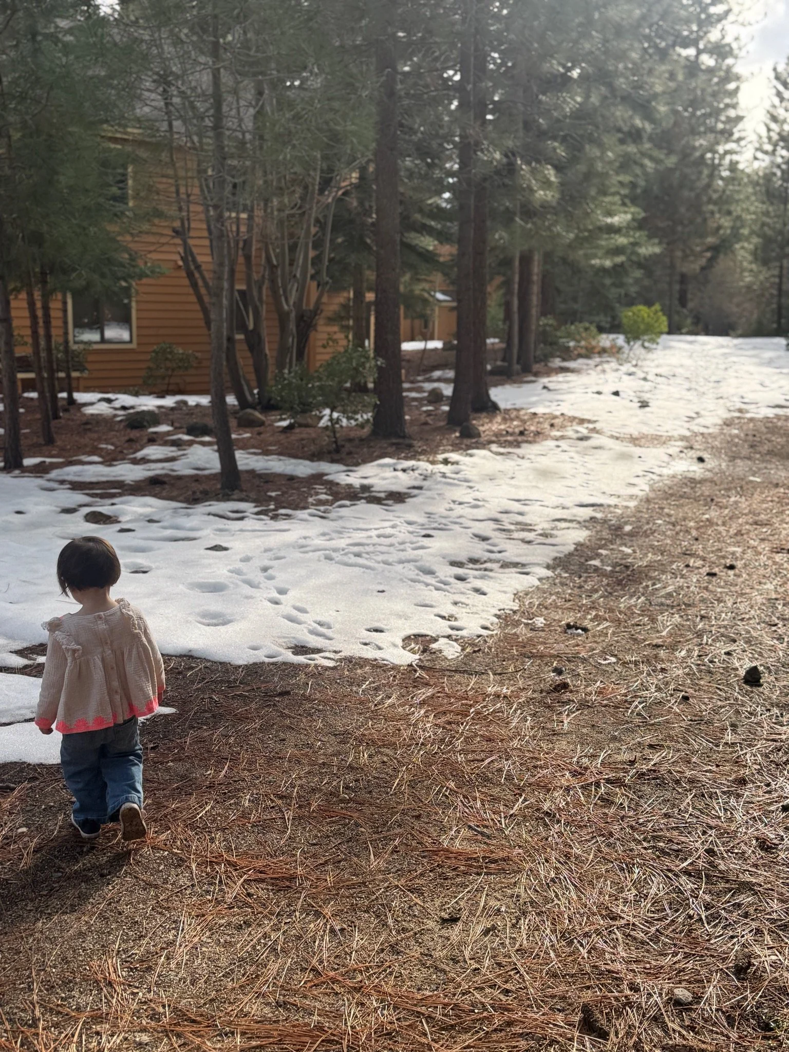 Life in Tahoe: March