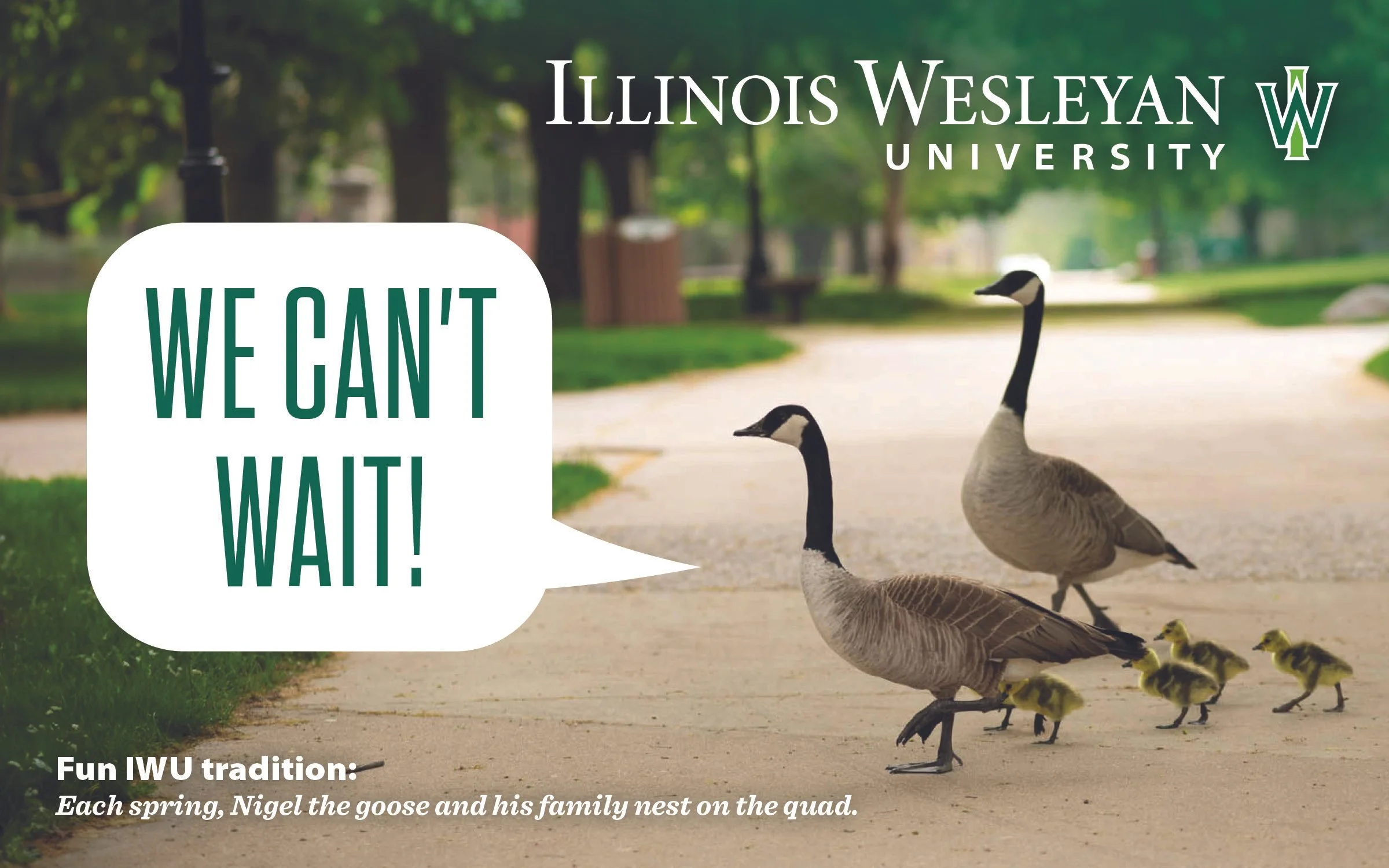 Deposited Student postcard