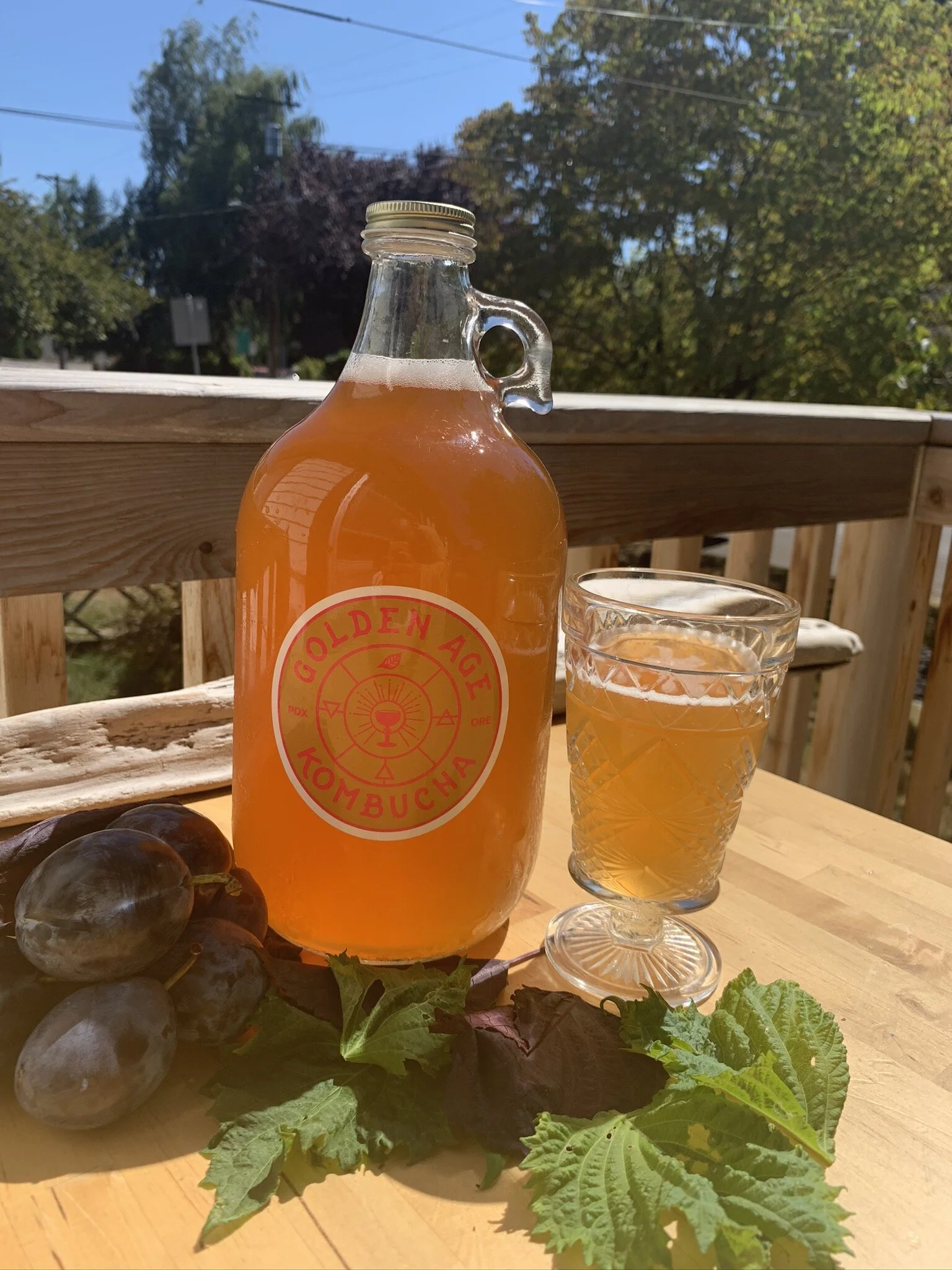 Frequently Asked Golden Age Kombucha Subscription Questions