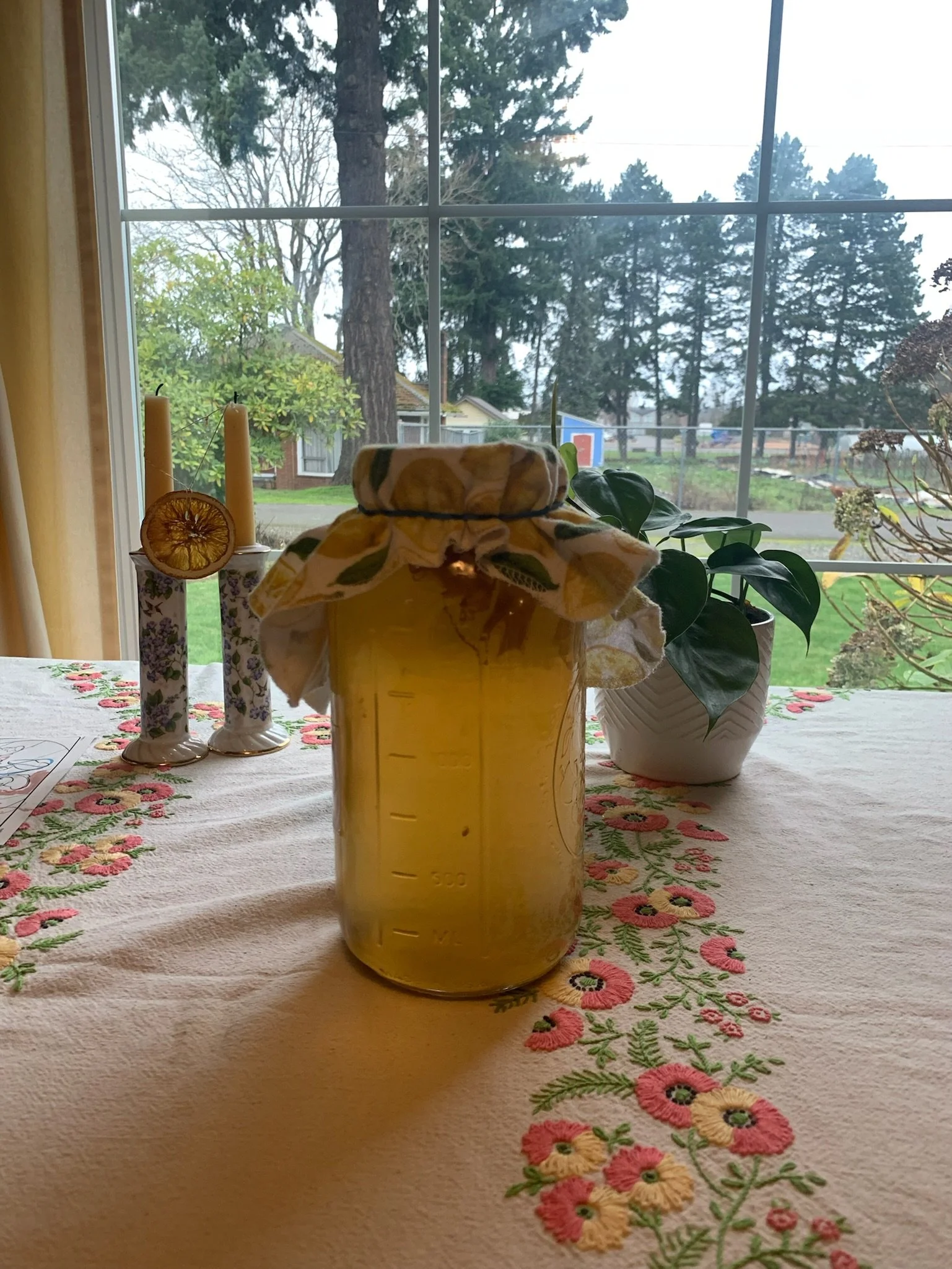 Making Kombucha
