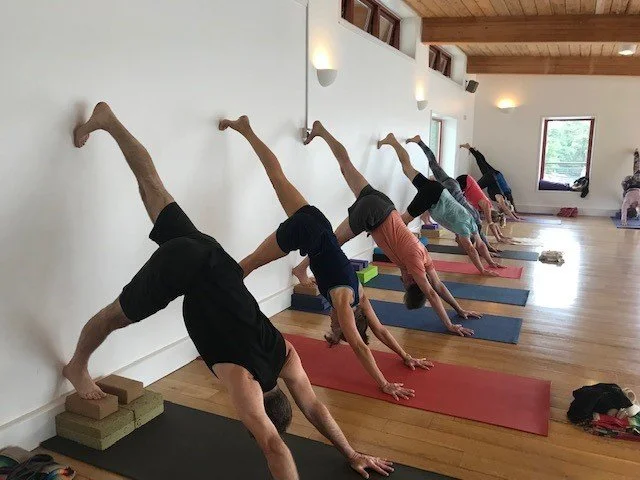 Monthly L1 & L2 workshops for teachers, trainees and experienced students