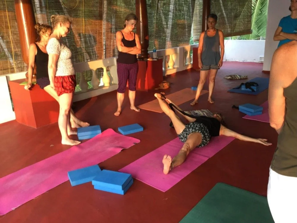 Iyengar Yoga with Sue Lovell, Kerela, India 