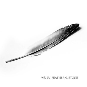 wild up - feather and stone