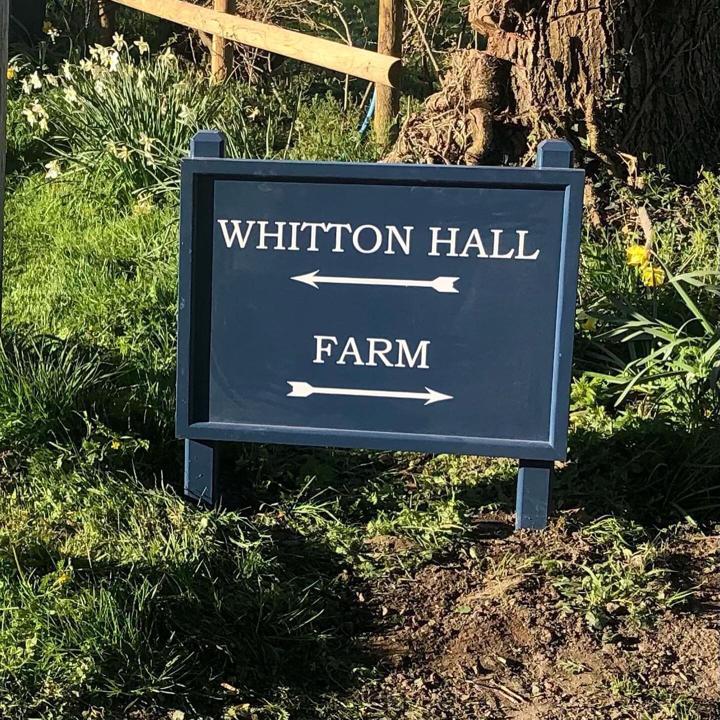 COUNTDOWN TO MAY 17th B&amp;Bs OPENING!
Our new sign is up - painted to match the gates.  Dad&rsquo;s hole in the wall is fixed - lots of preparation before we open up in May.  Dad and Harry reckon the gates open too slowly (the speed merchants) but 