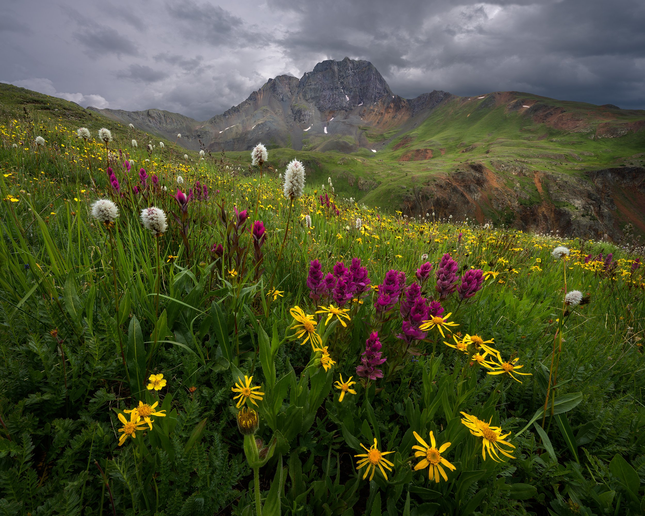 TAKE ME THERE 4X5.jpg