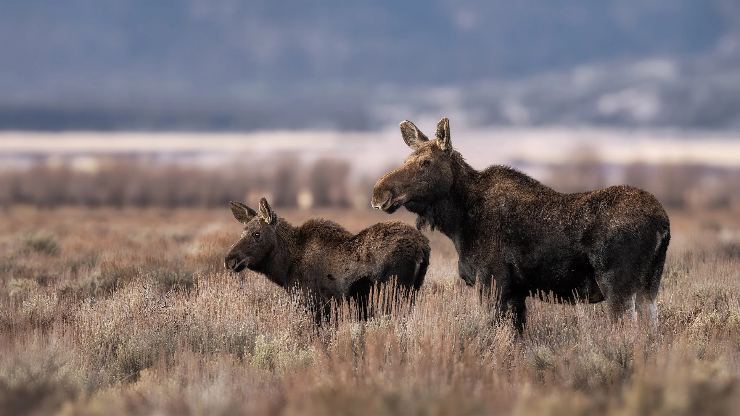 LIKE HIS FATHER 16x9.jpg