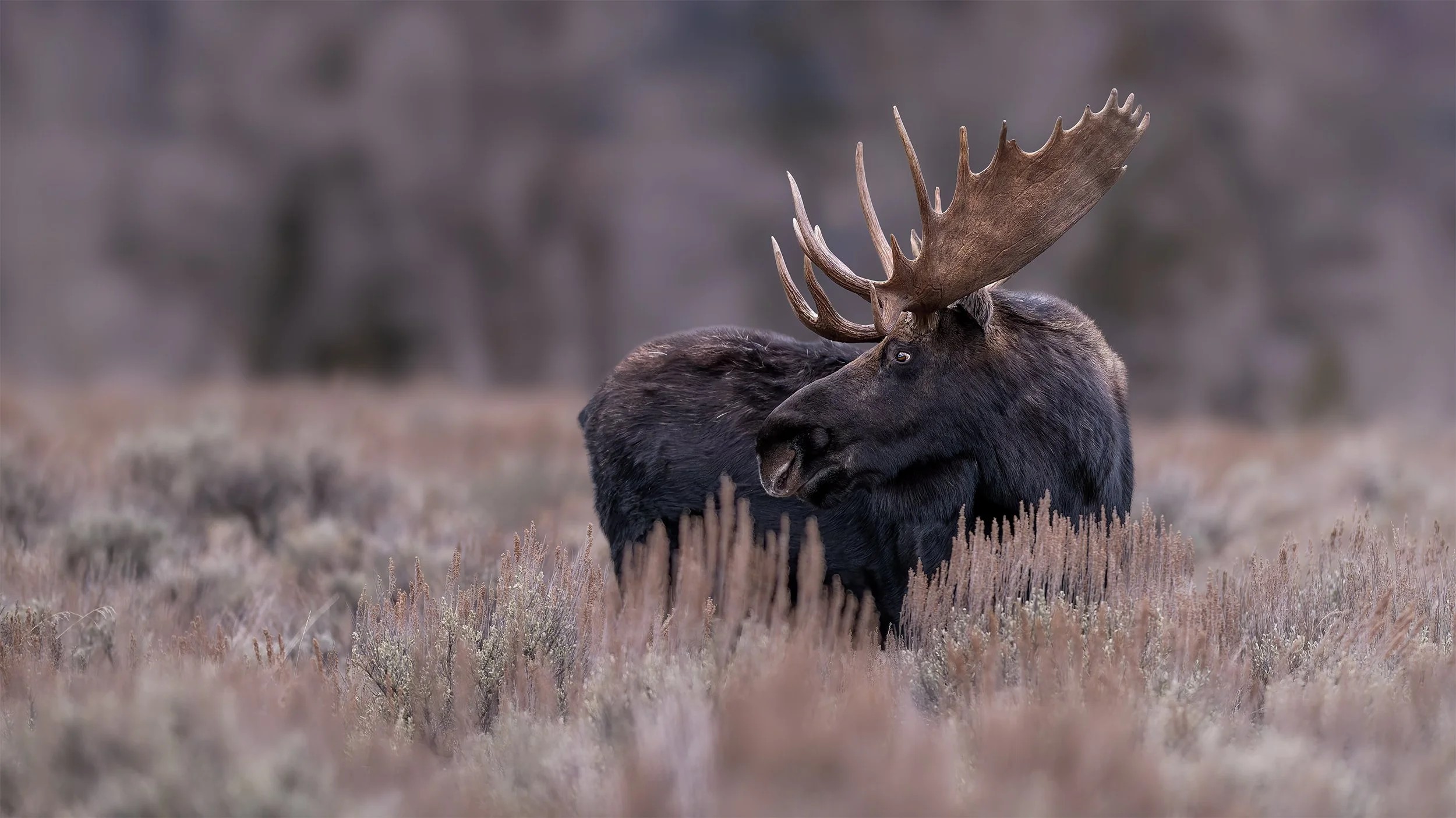 WAITING ON A FRIEND 16x9.jpg