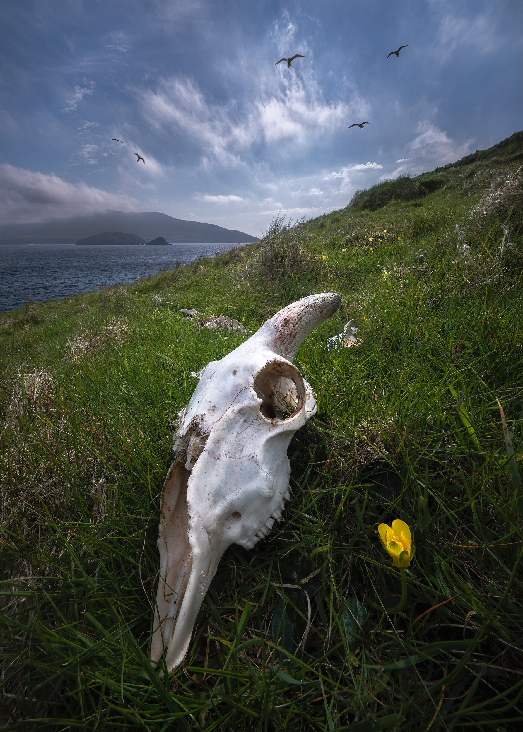 BLASKET PASSING 5x7.jpg