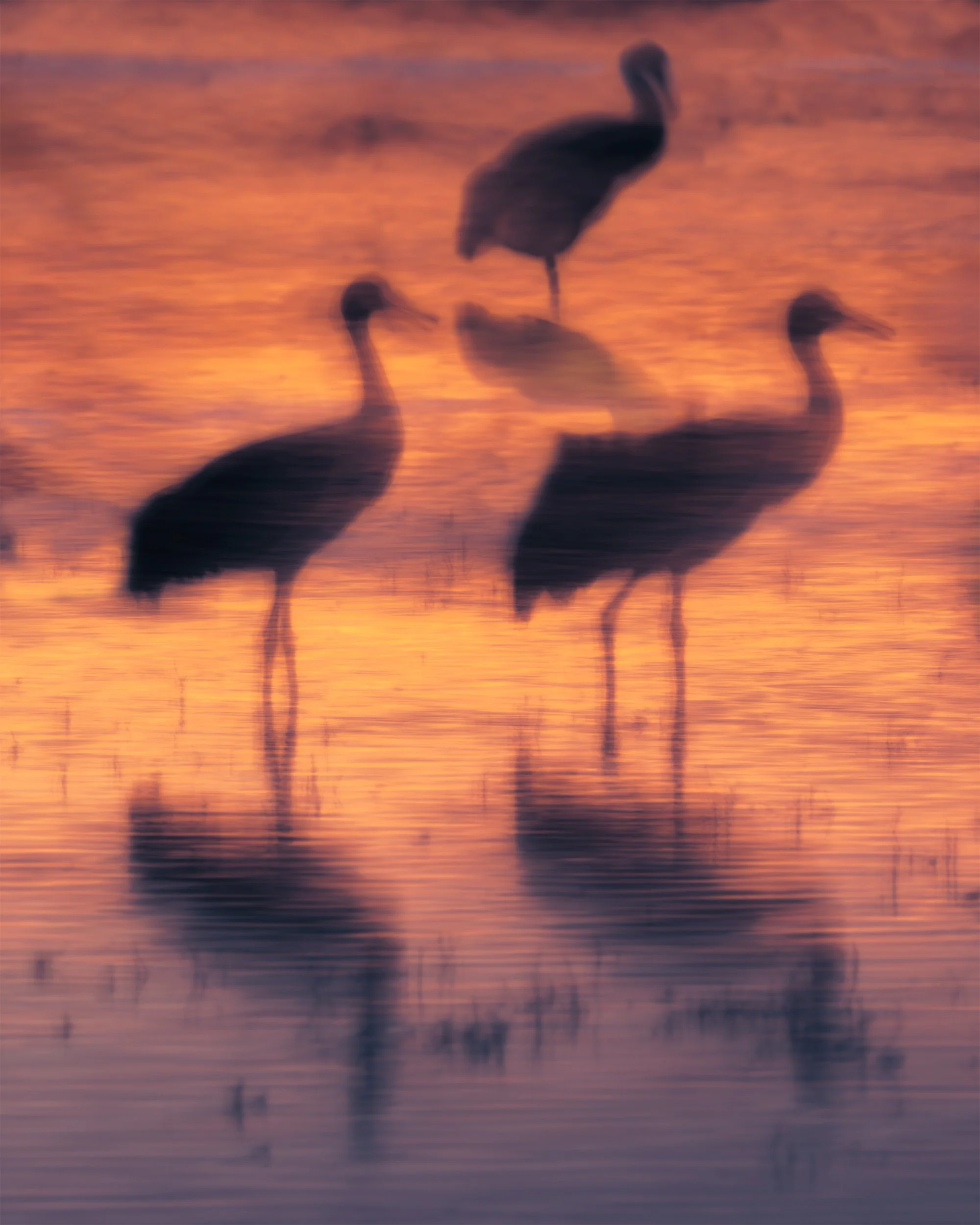 The Ghosts of the Fire Water