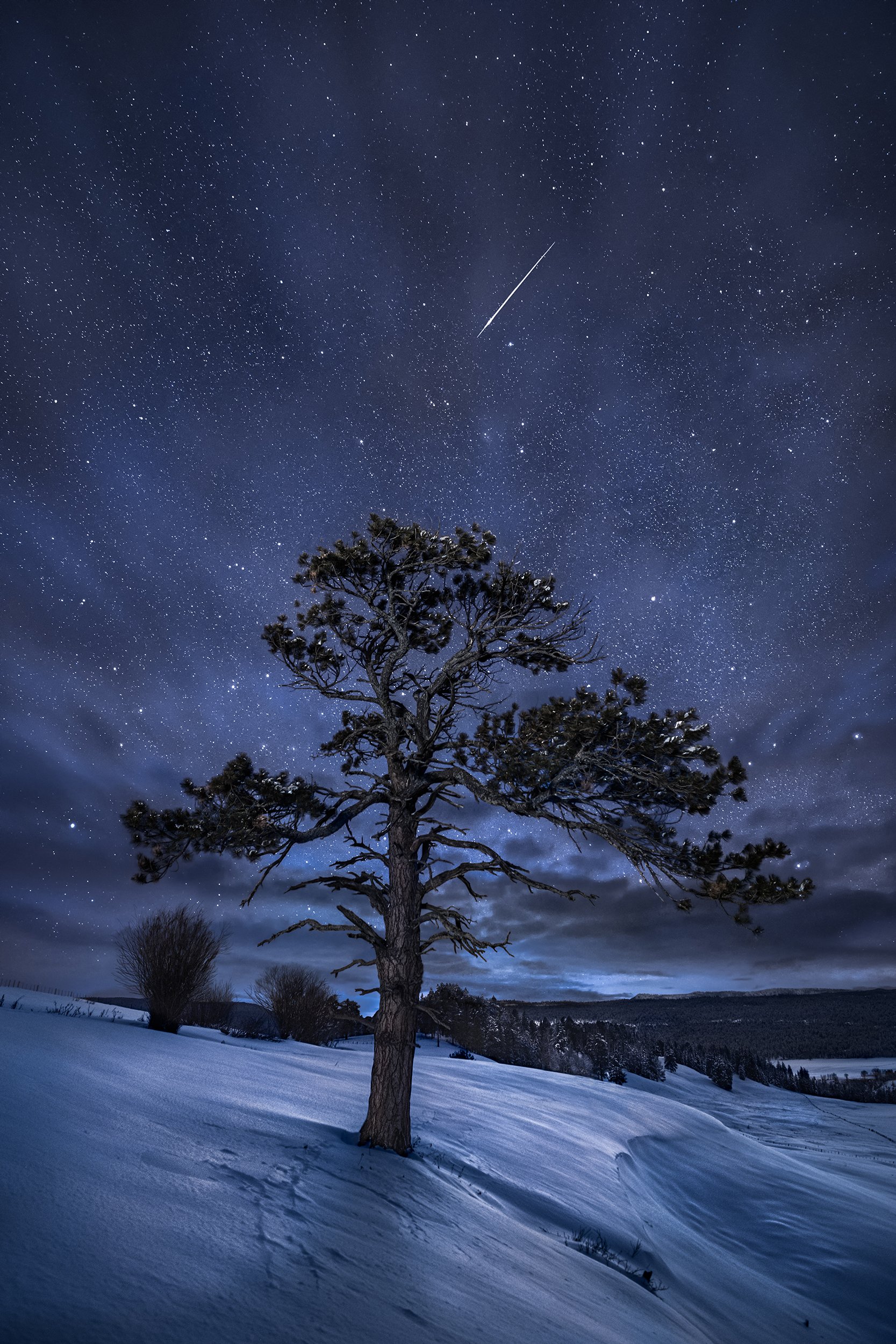 The Silence of Winter 2X3.jpg