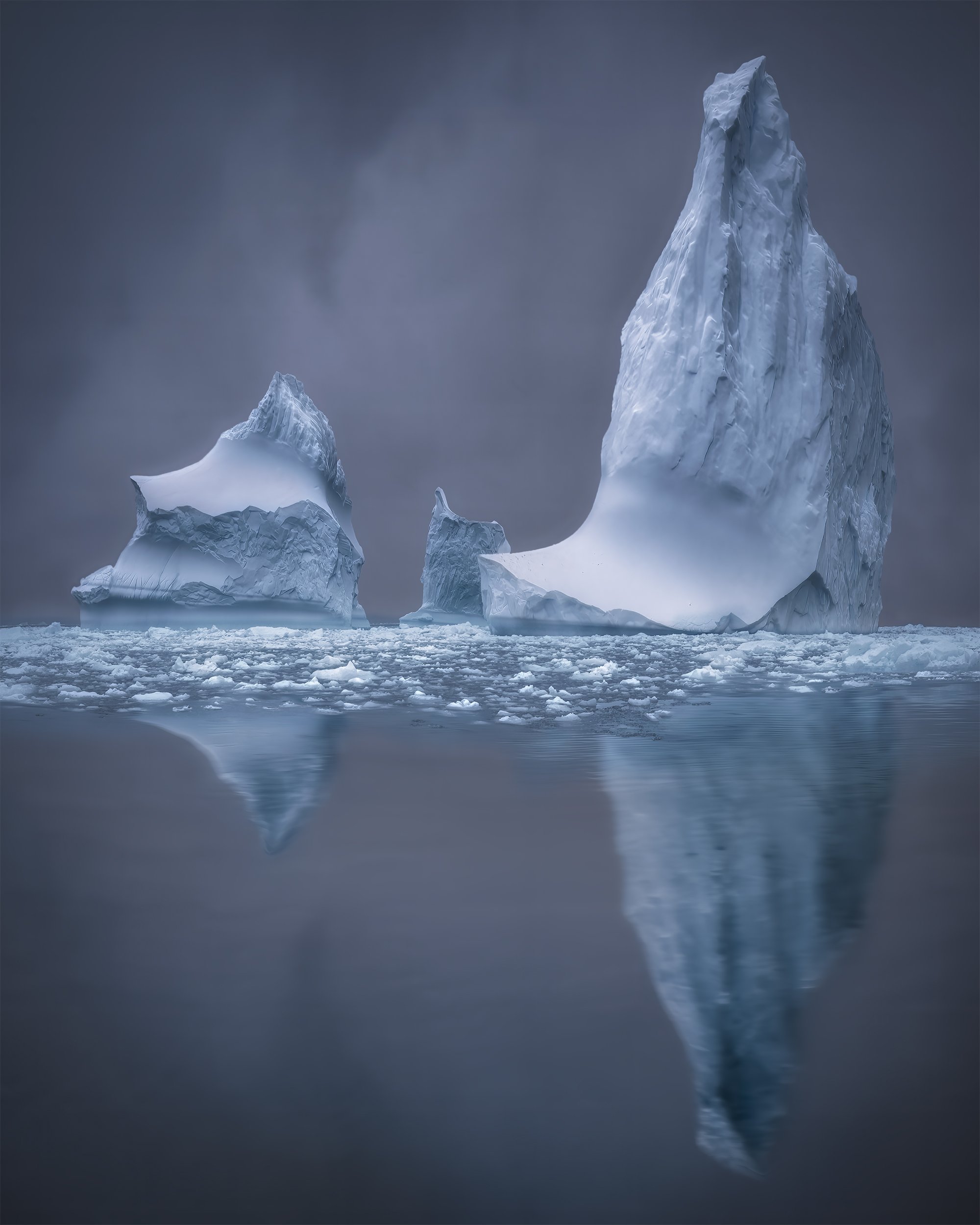 THE PROTECTORS icebergs 4x5.jpg