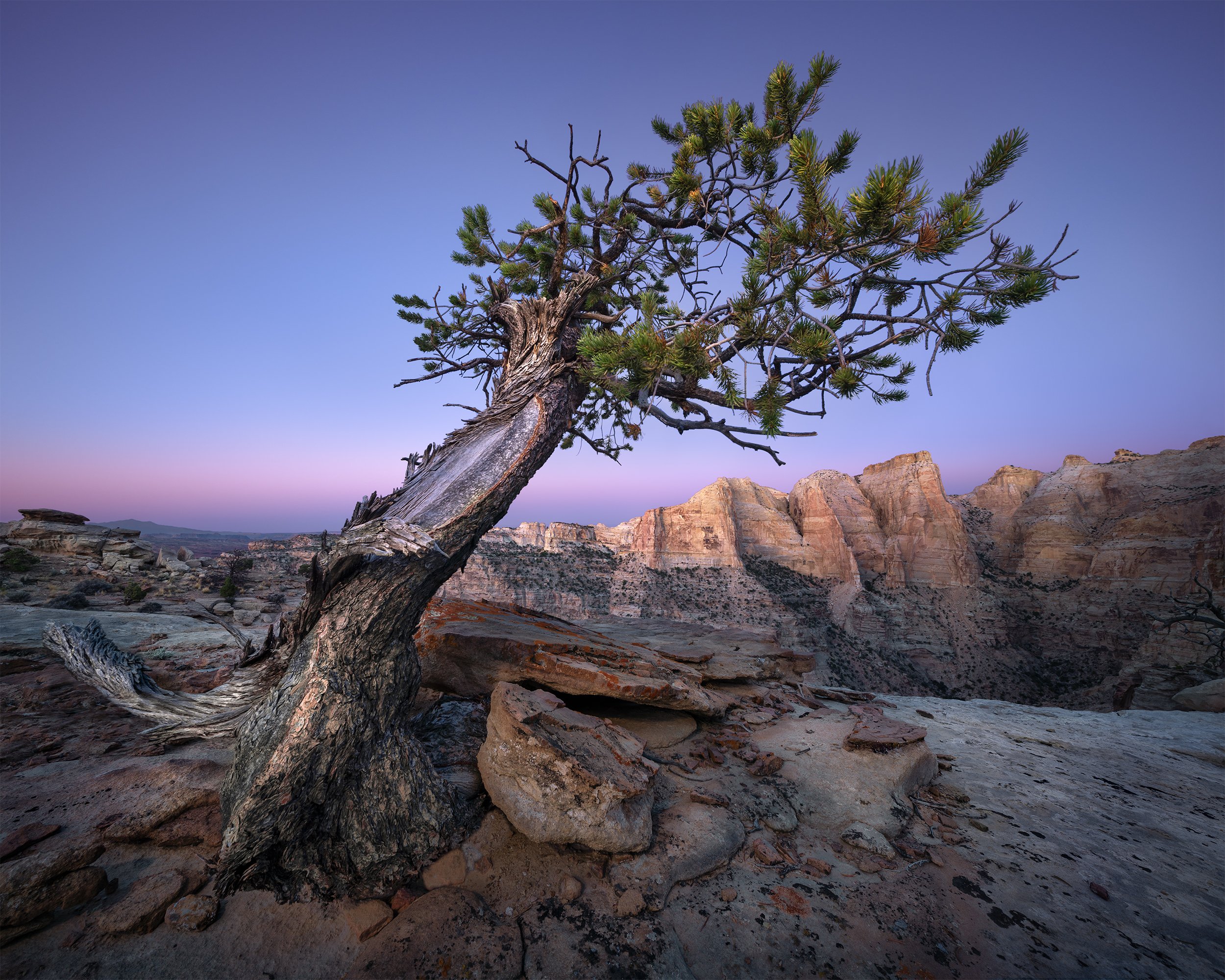 UTAH MORNING 4x5.jpg