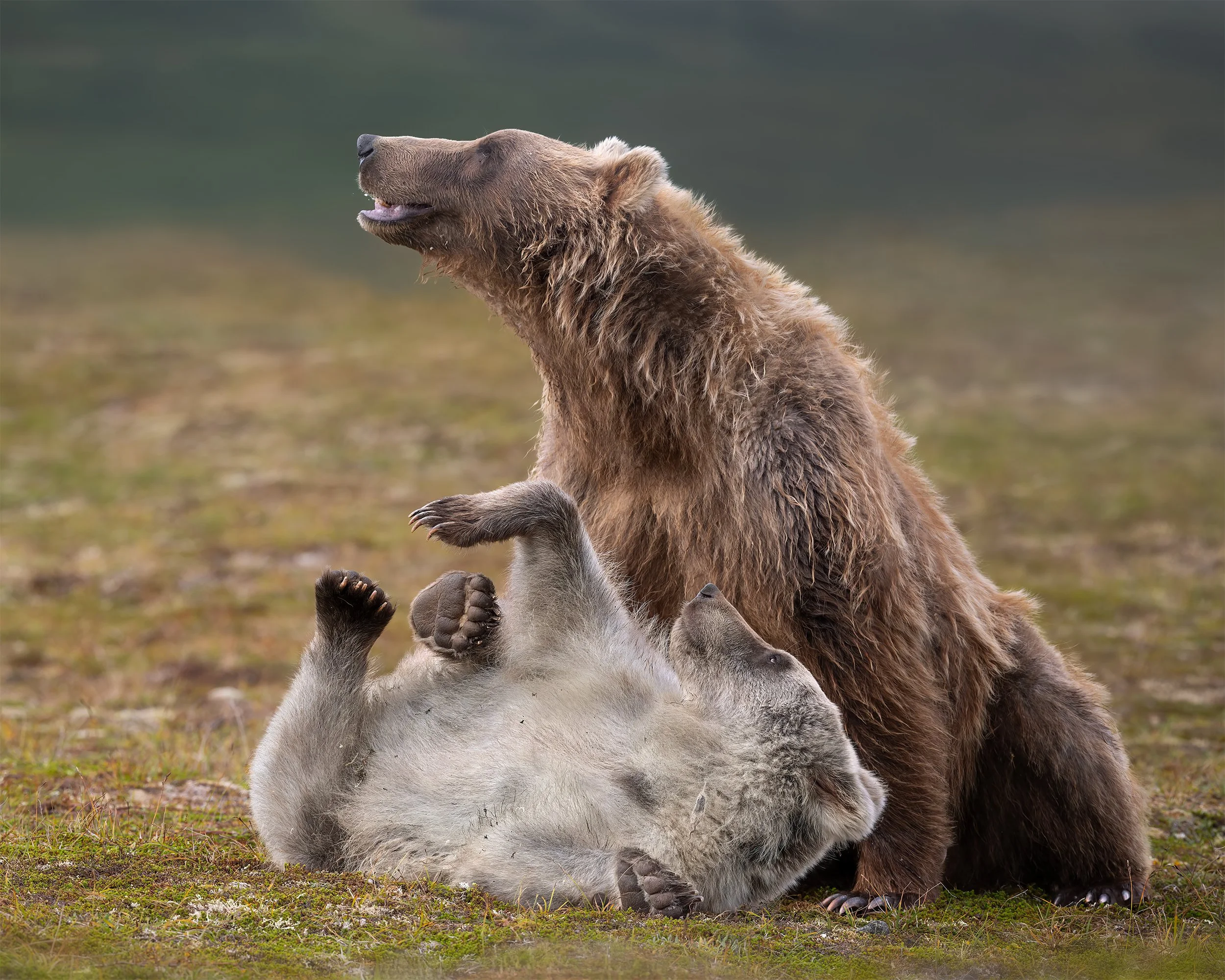 UNCONDITIONAL LOVE  bears  4x5.jpg