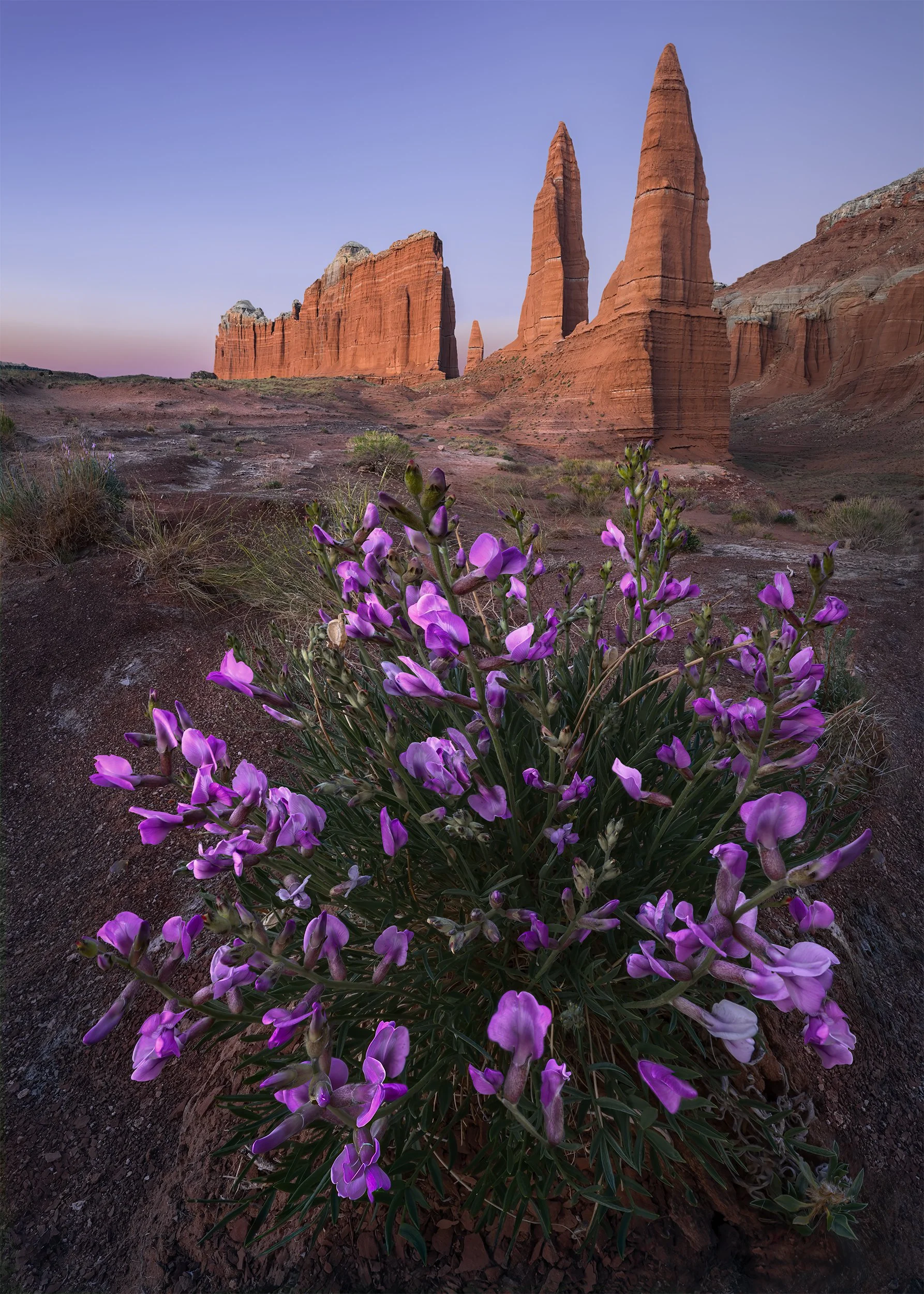 BEAUTY AND THE BUTTES  5x7.jpg