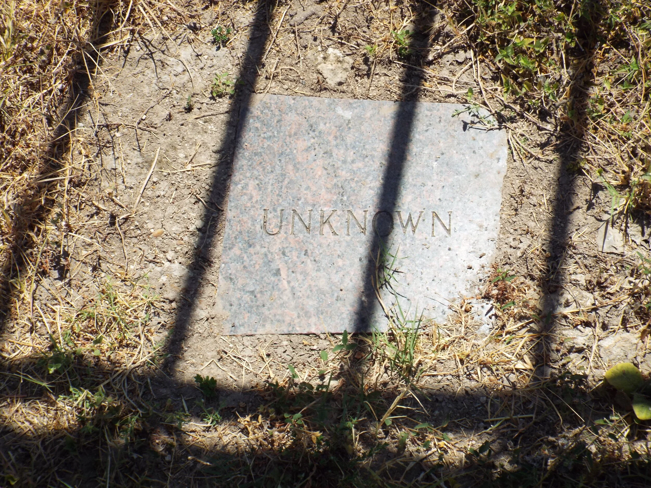 Blog 2 — WETMORE COMMUNITY CEMETERY INC. (WCCI)