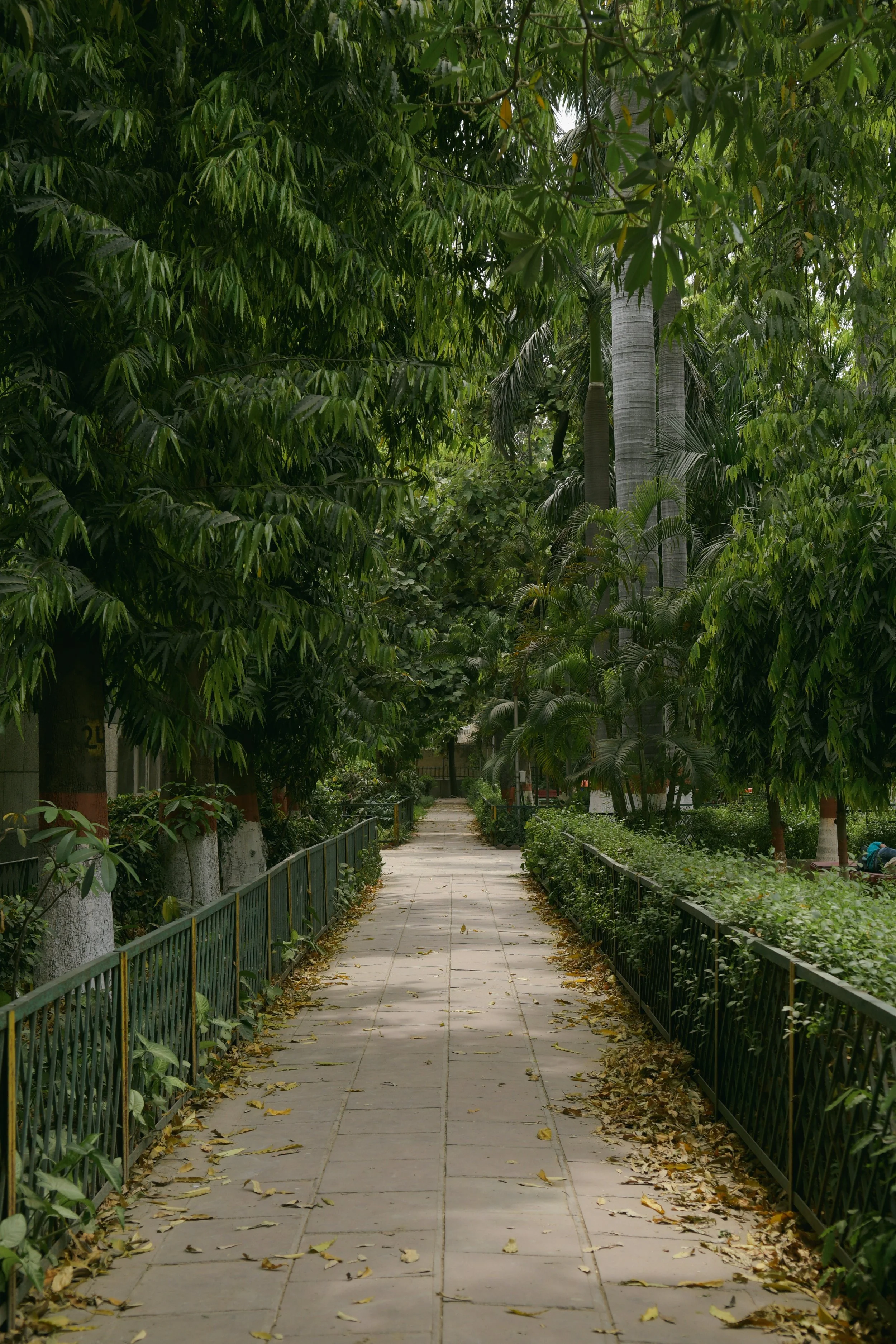 delhi-india-tanya-arya1.JPG