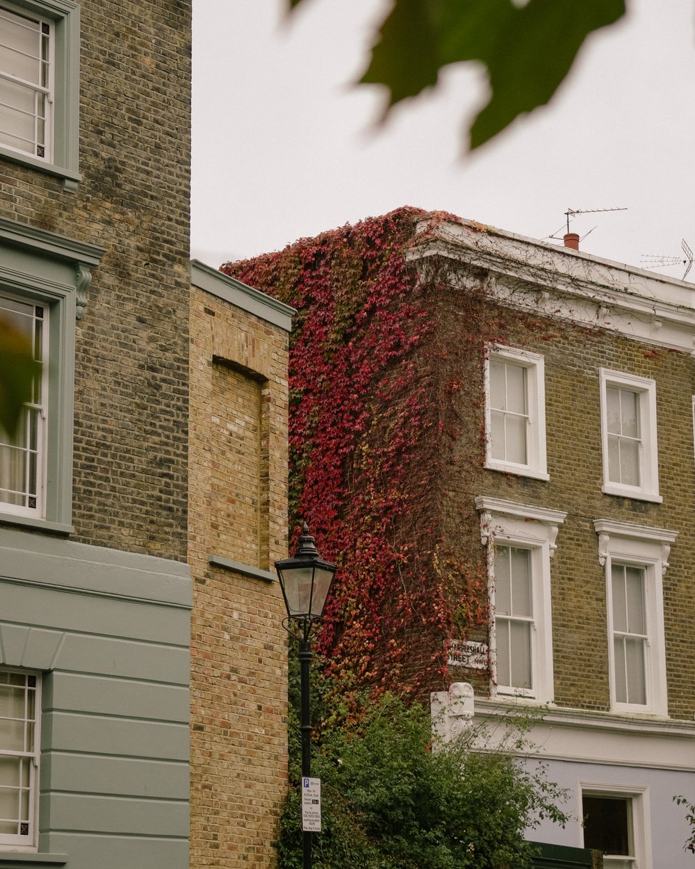 Primrose-Hill-London-Autumn-Autumnal-Spots-Tanya-Arya-photography3.JPG