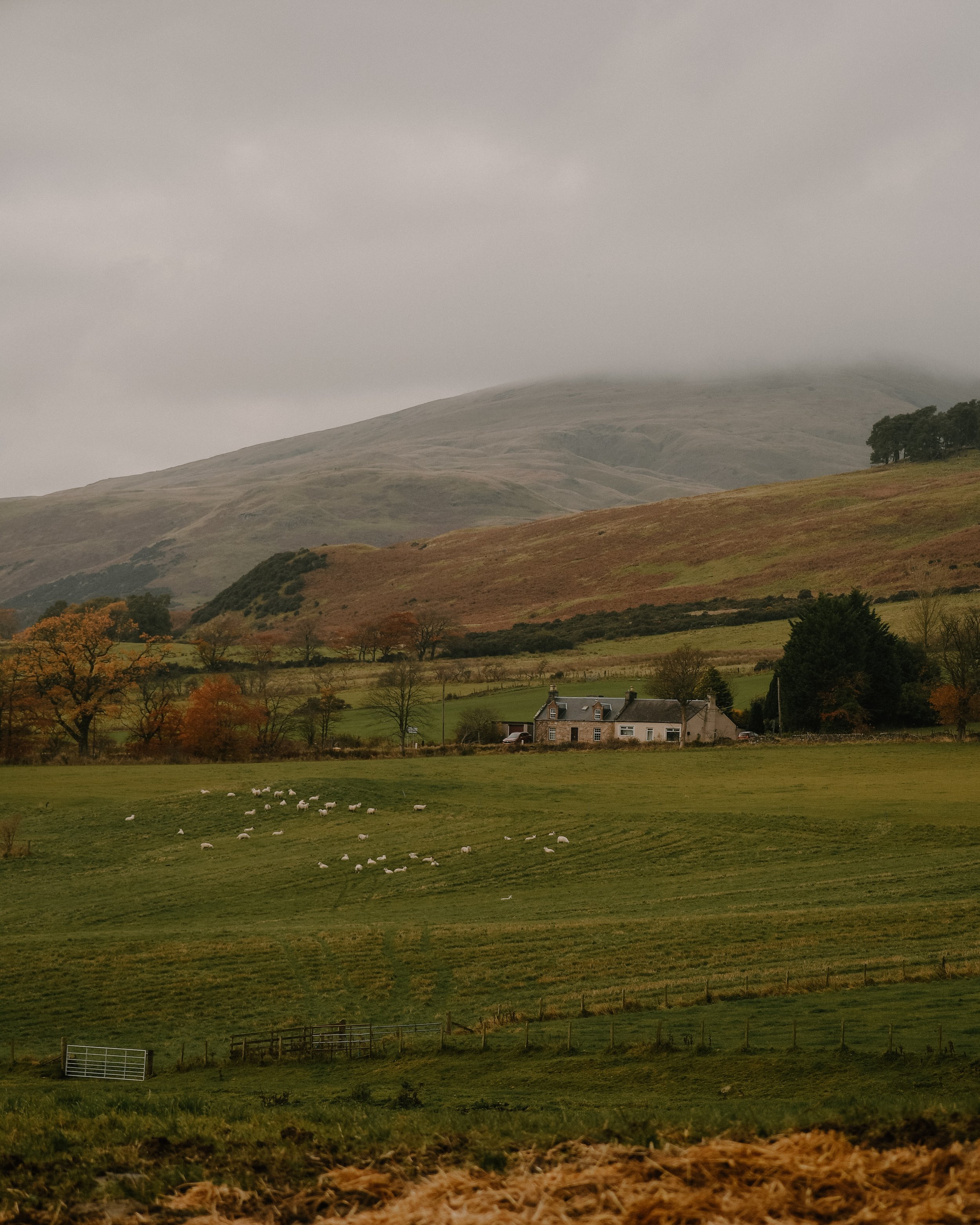 Larch-Cabin-Scotland-Highlands-Scottish-Countryside-Tanya-Arya-photography25.JPG