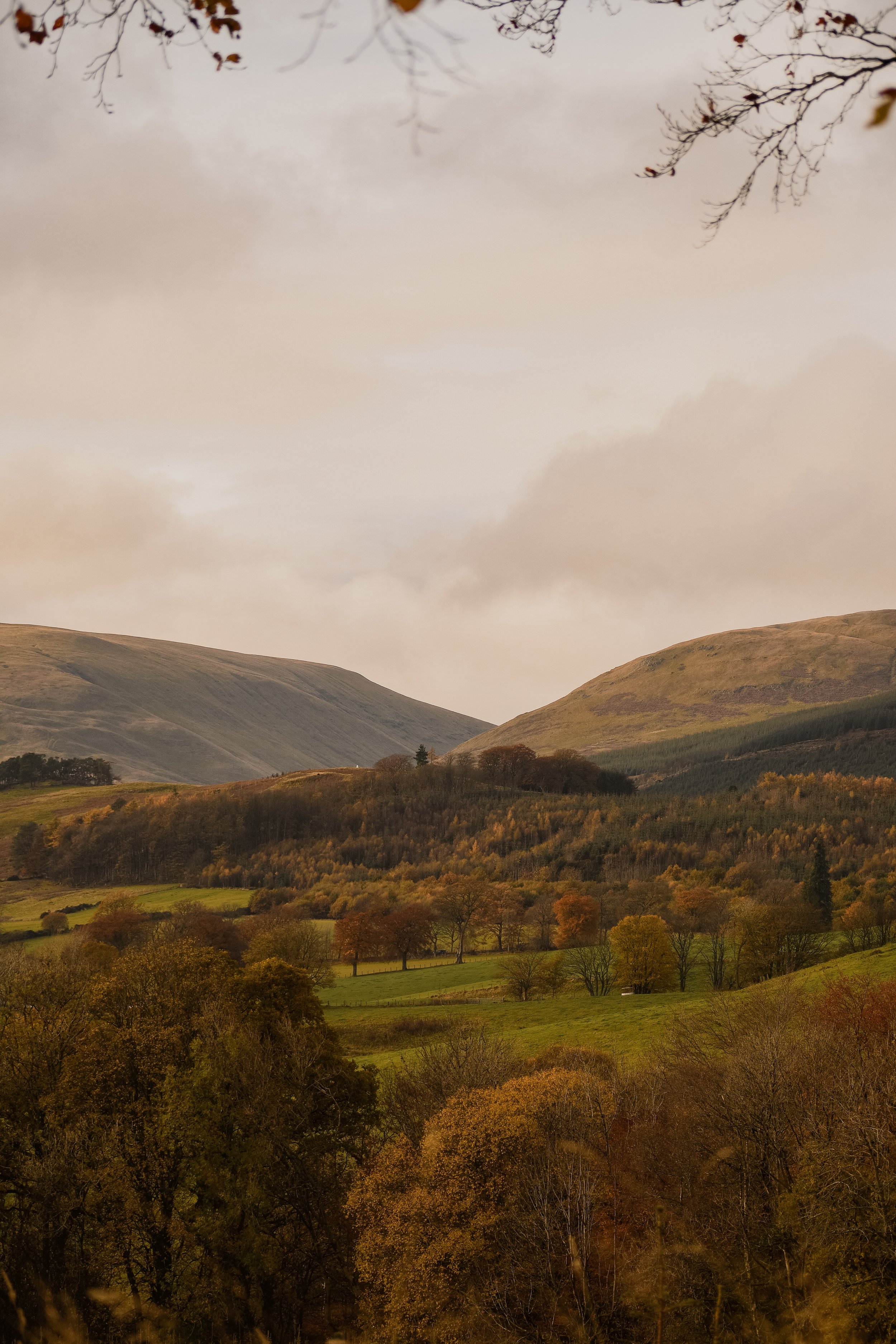 Larch-Cabin-Scotland-Highlands-Scottish-Countryside-Tanya-Arya-photography7.JPG